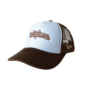 ND Trucker Hat - Brown